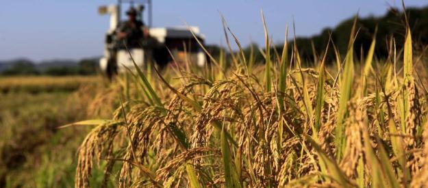 RURAL CREDIT & SAVING (ADB)