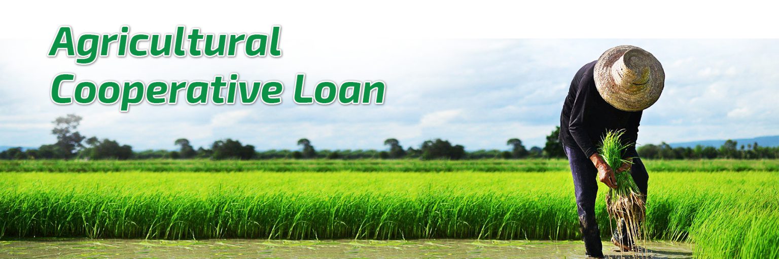 Loans Agricultural and Rural Development Bank