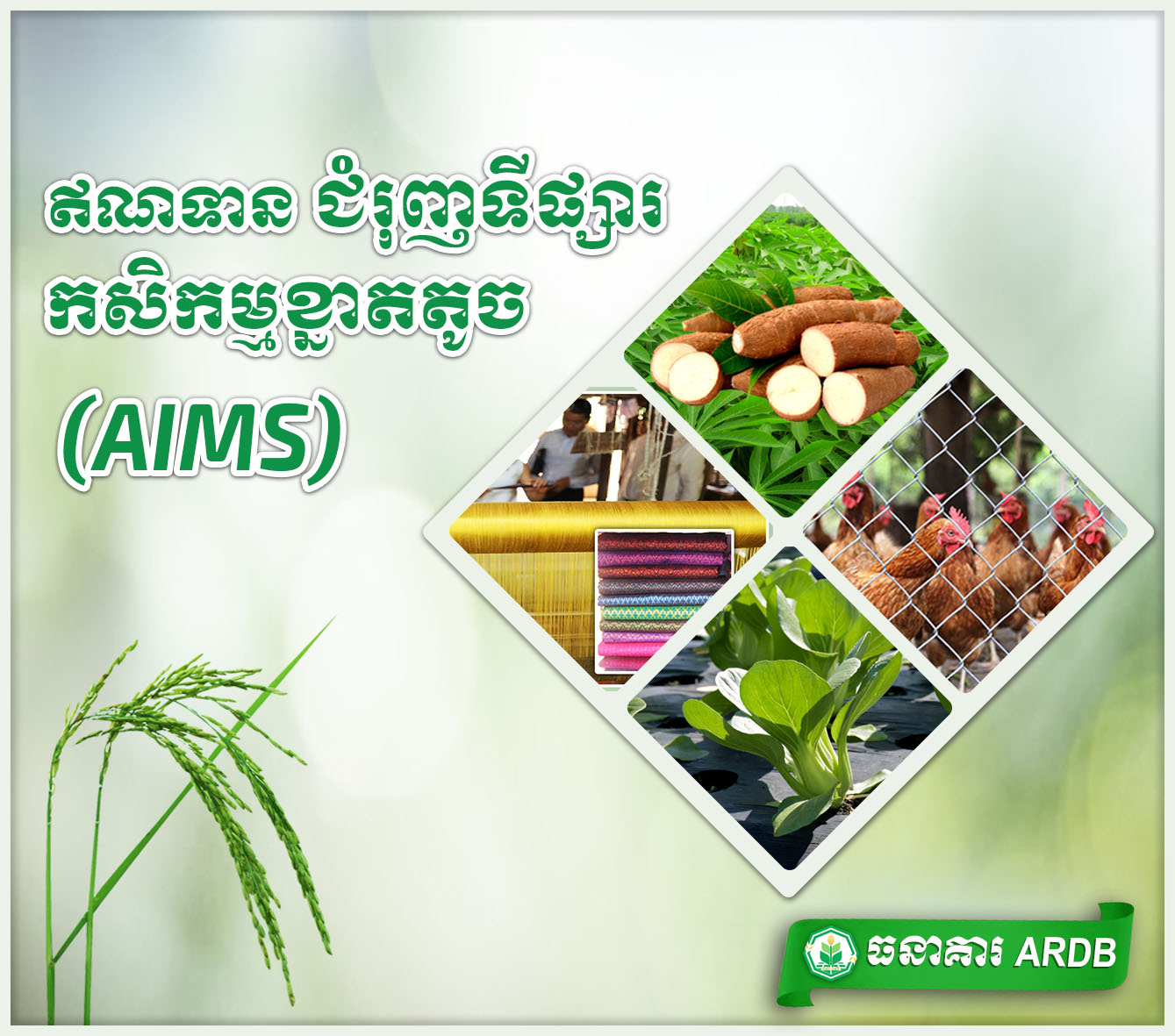 Accelerating Inclusive Markets for Smallholders project