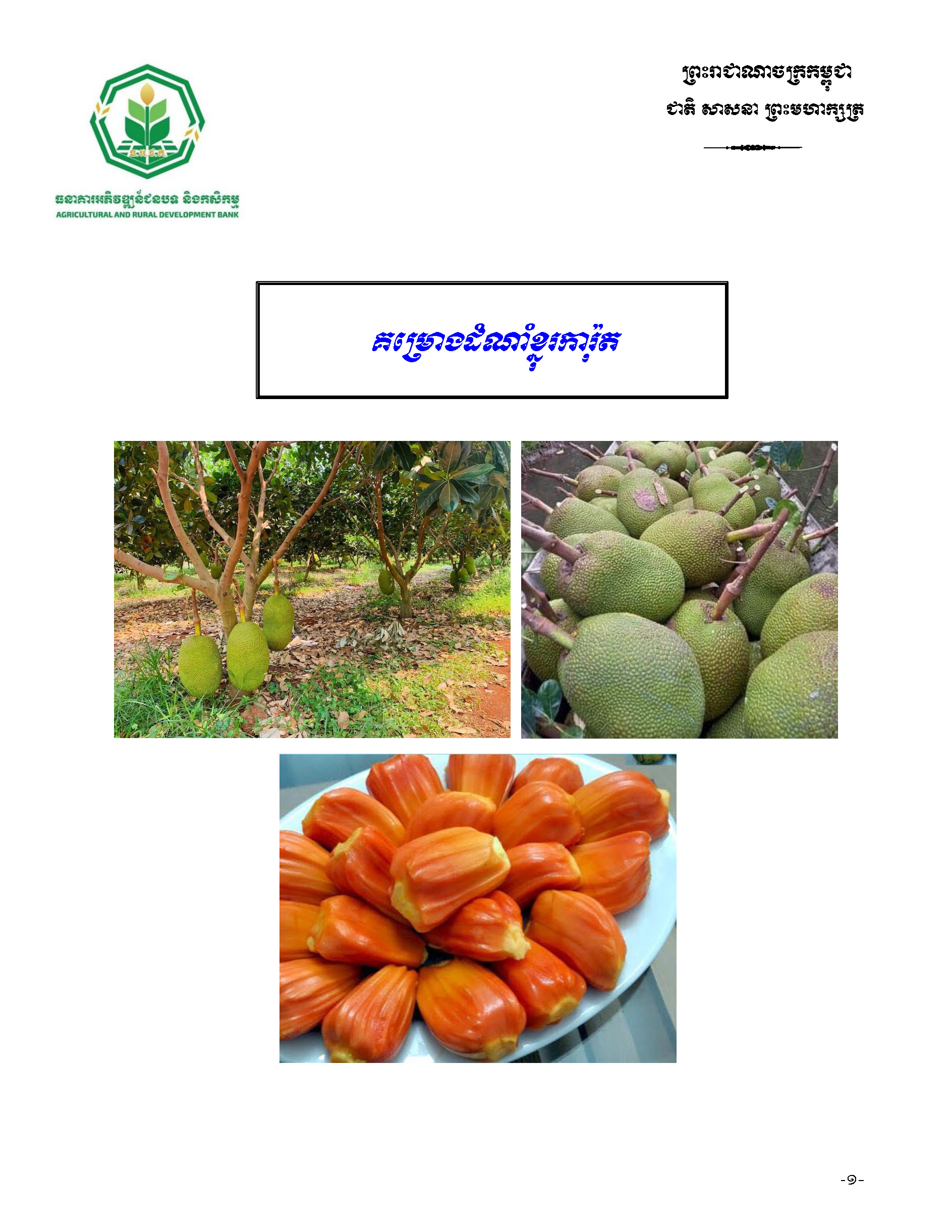 គម្រោងដំណាំ_ខ្នុរការ៉ុត_Page_01