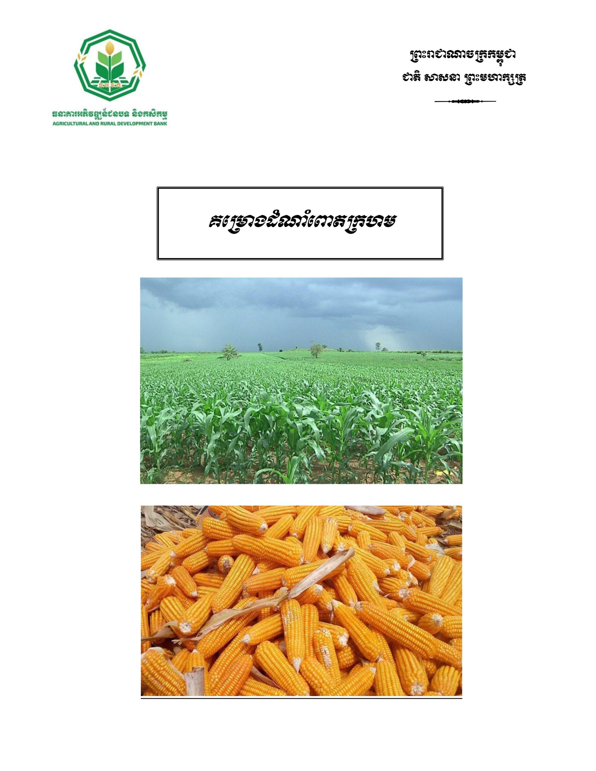 គម្រោងដំណាំពោតក្រហម_Page_01