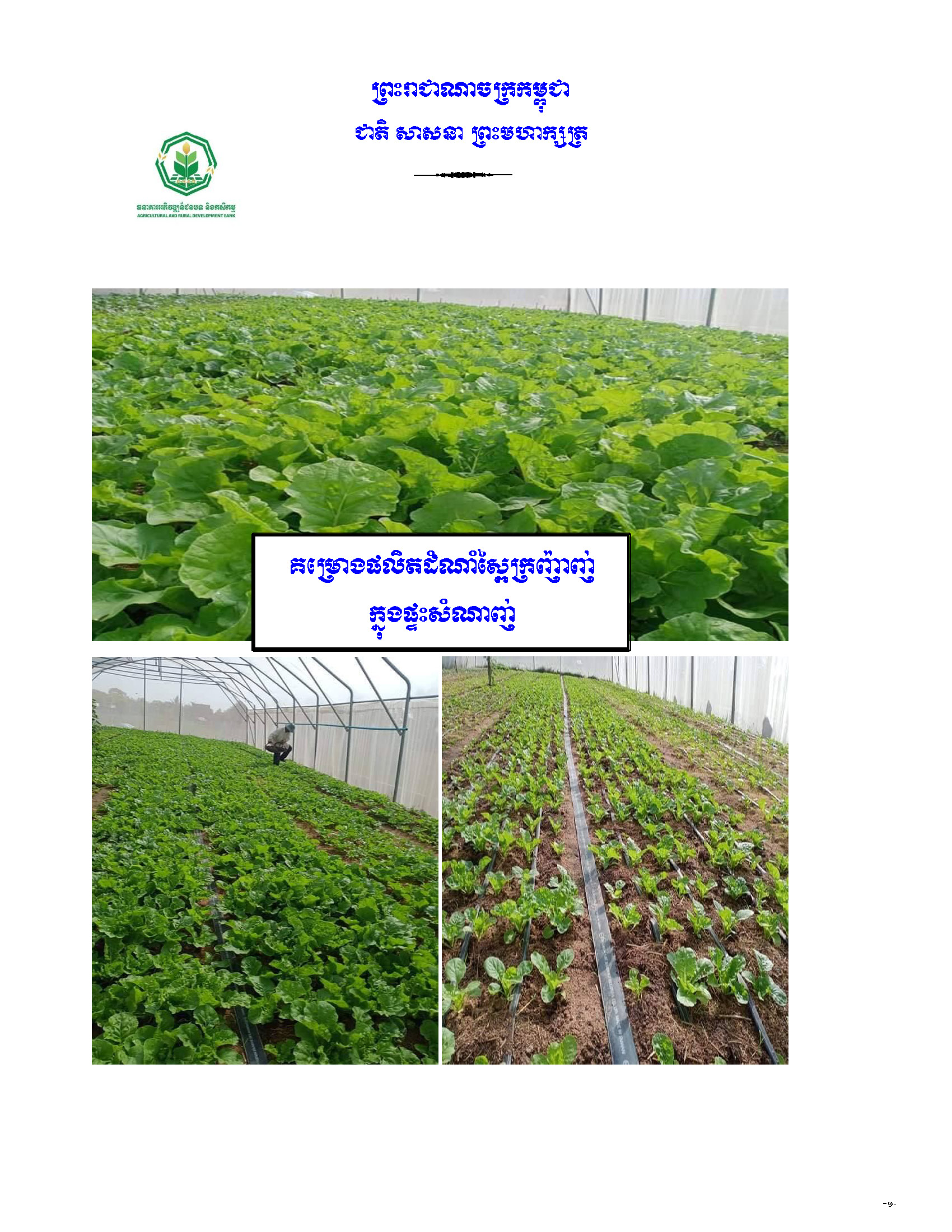 គម្រោងដំណាំស្ពៃក្រញ៉ាញ់ក្នុងផ្ទះសំណាញ់_Page_1