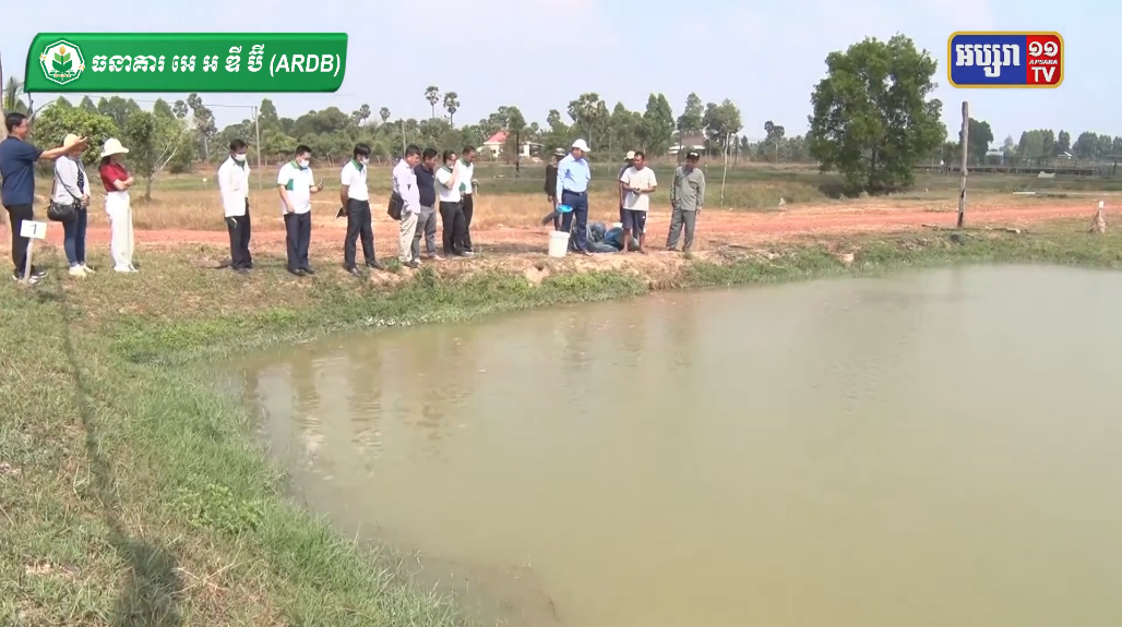 អគ្គនាយកធនាគារ អេ អ ឌី ប៊ី បានបន្តចុះពិនិត្យកសិដ្ឋានដាំបន្លែ និងការធ្វើវារីវប្បកម្មនៅខេត្តសៀមរាប