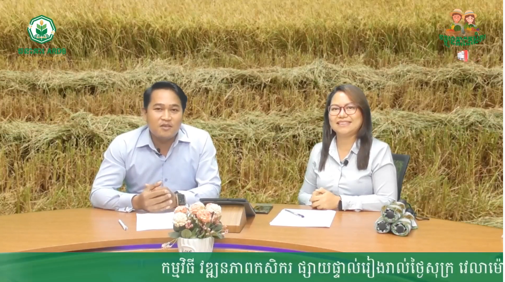 កម្មវីធីវឌ្ឍនភាពកសិករ EP2