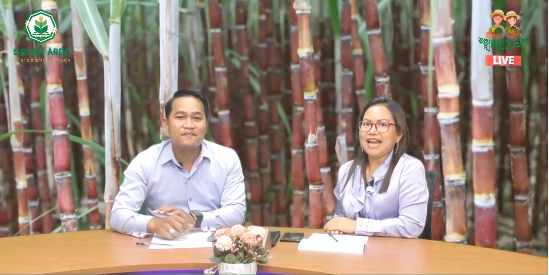 កម្មវិធី វឌ្ឍនភាពកសិករ ARDB EP3