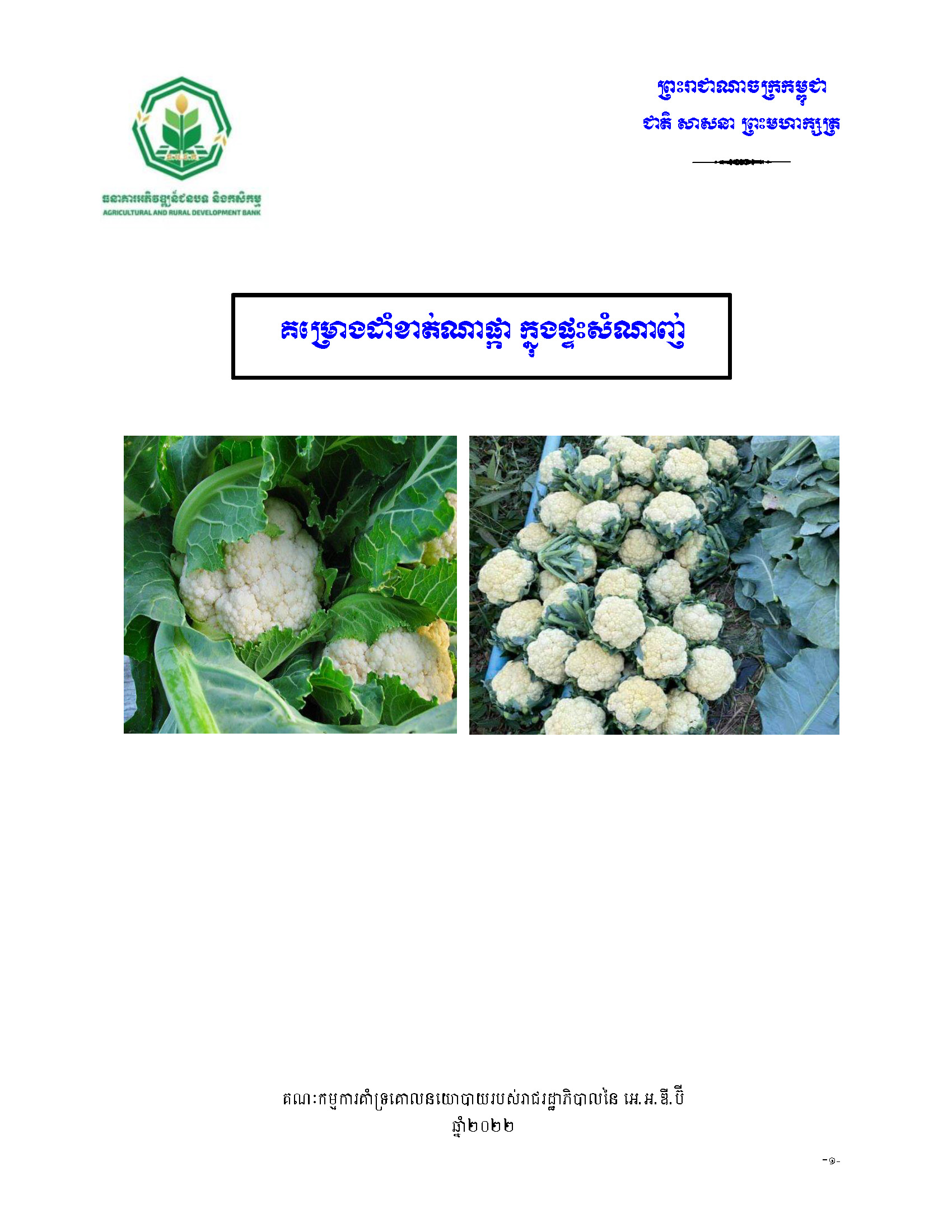 គម្រោងដំណាំខាត់ណាផ្កាក្នុងផ្ទះសំណាញ់_Page_1