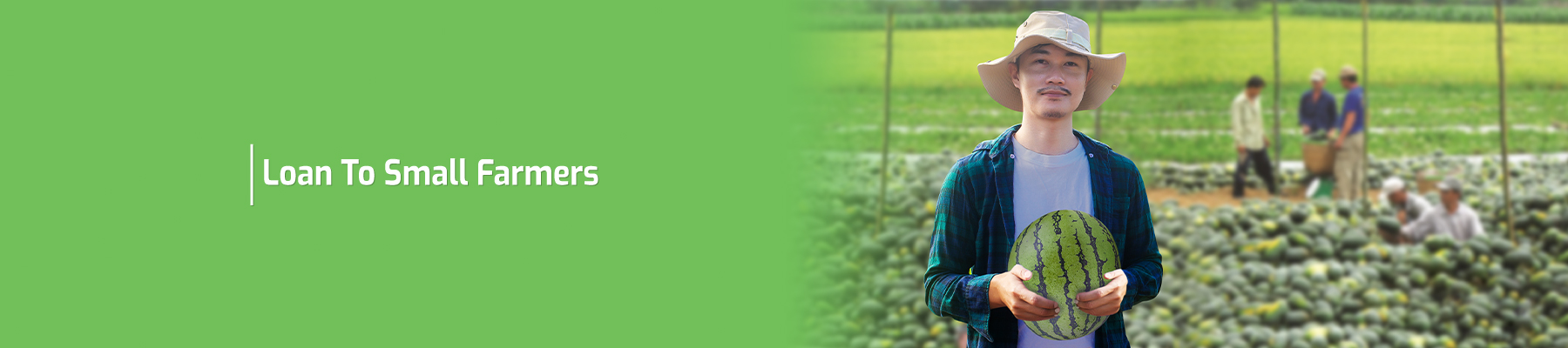 (ភាសាខ្មែរ) ឥណទានសម្រាប់ទ្រទ្រង់វិស័យកសិកម្មខ្នាតតូច