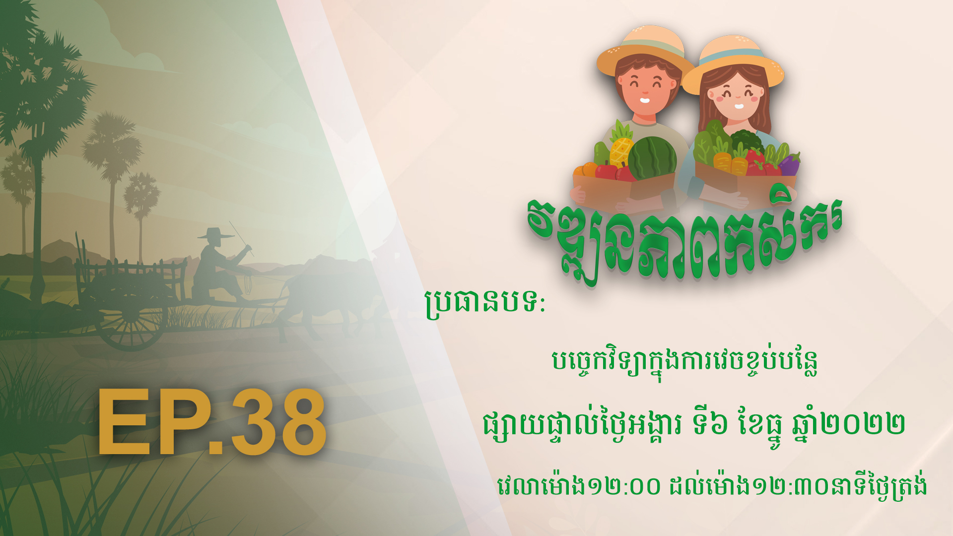 កម្មវិធី វឌ្ឍនភាពកសិករ EP.38