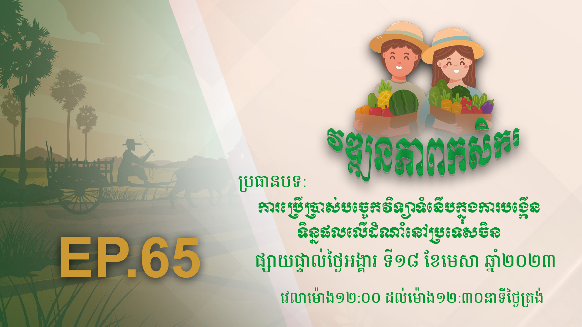 កម្មវិធី វឌ្ឍនភាពកសិករ EP.65