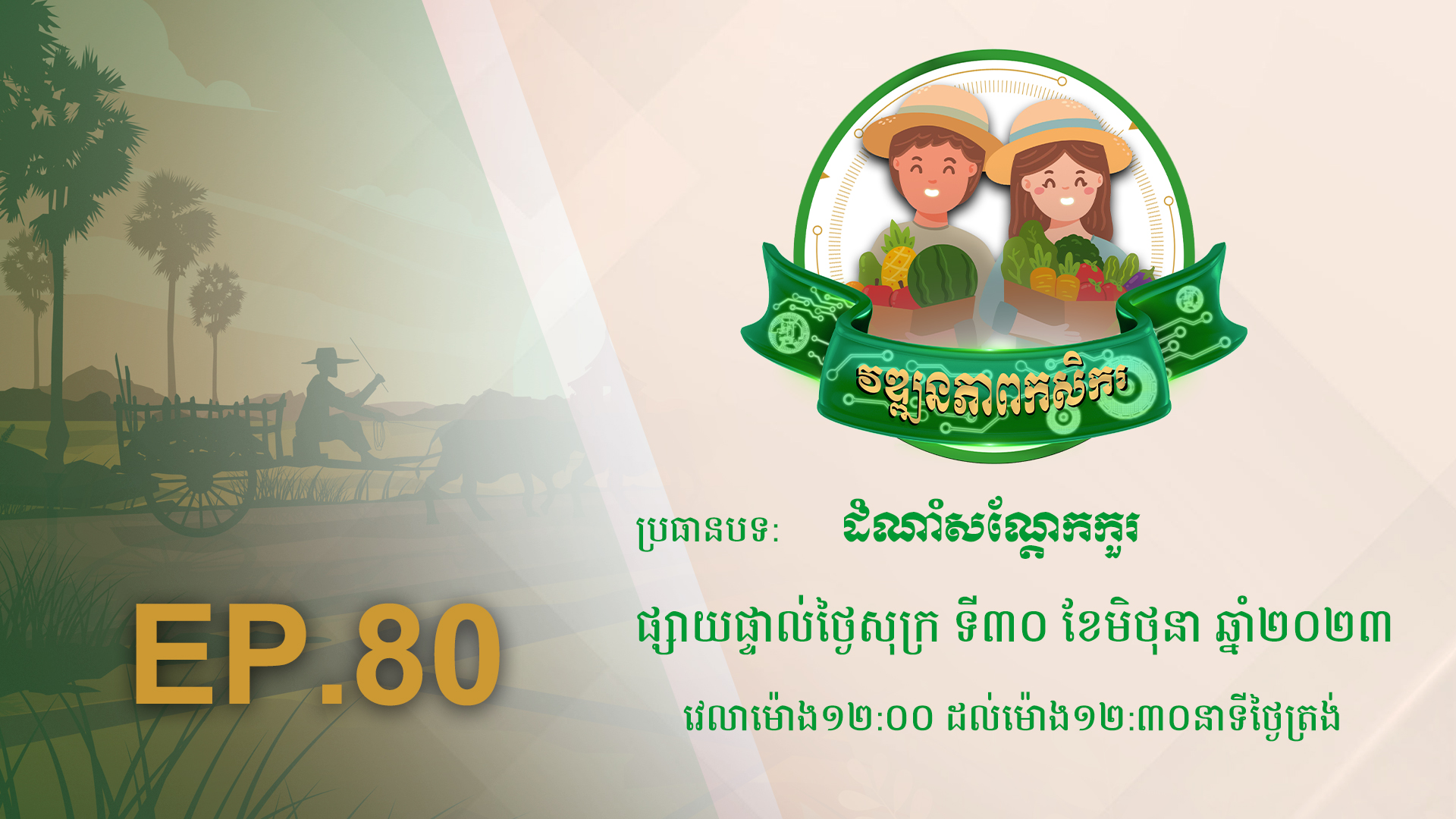 កម្មវិធី វឌ្ឍនភាពកសិករ EP.80