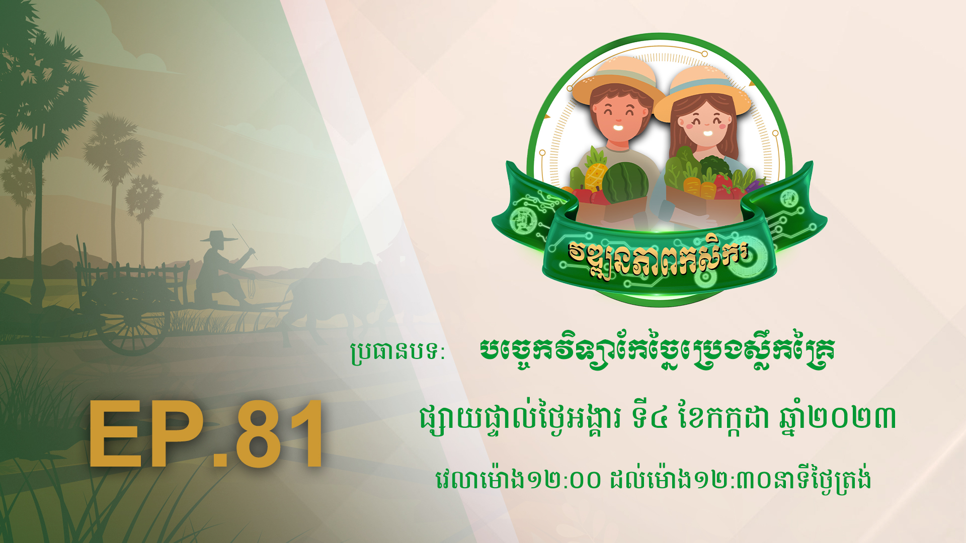 កម្មវិធី វឌ្ឍនភាពកសិករ EP.81