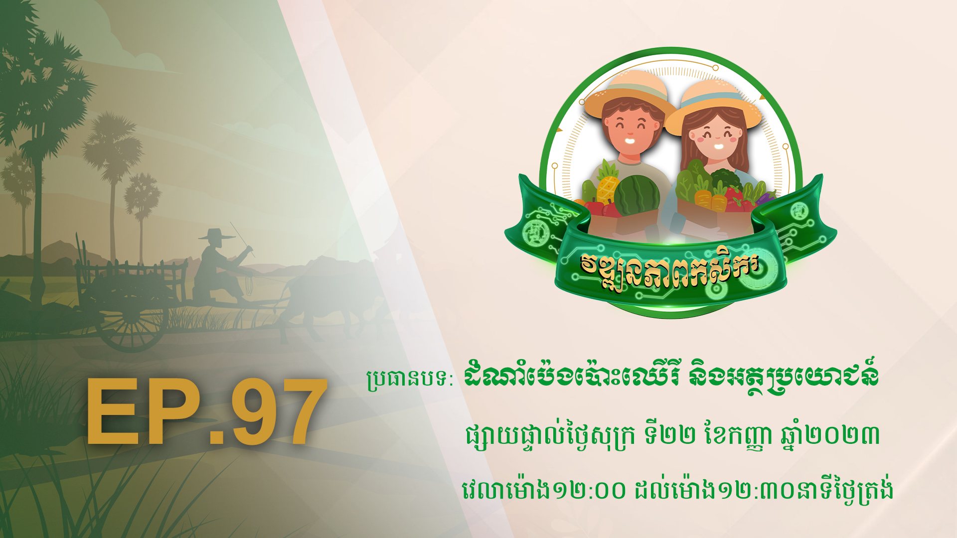 កម្មវិធី វឌ្ឍនភាពកសិករ EP.97