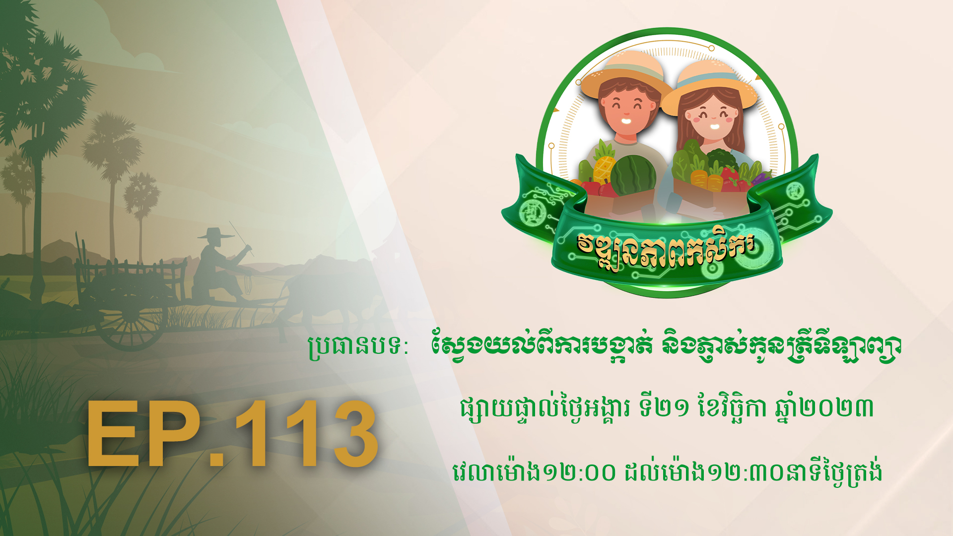 កម្មវិធី វឌ្ឍនភាពកសិករ EP.113