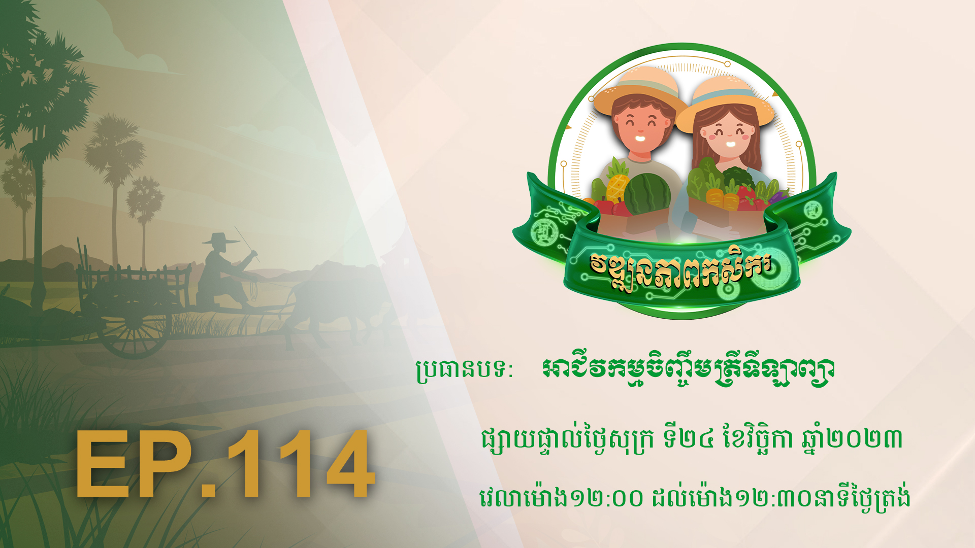 កម្មវិធី វឌ្ឍនភាពកសិករ EP.114