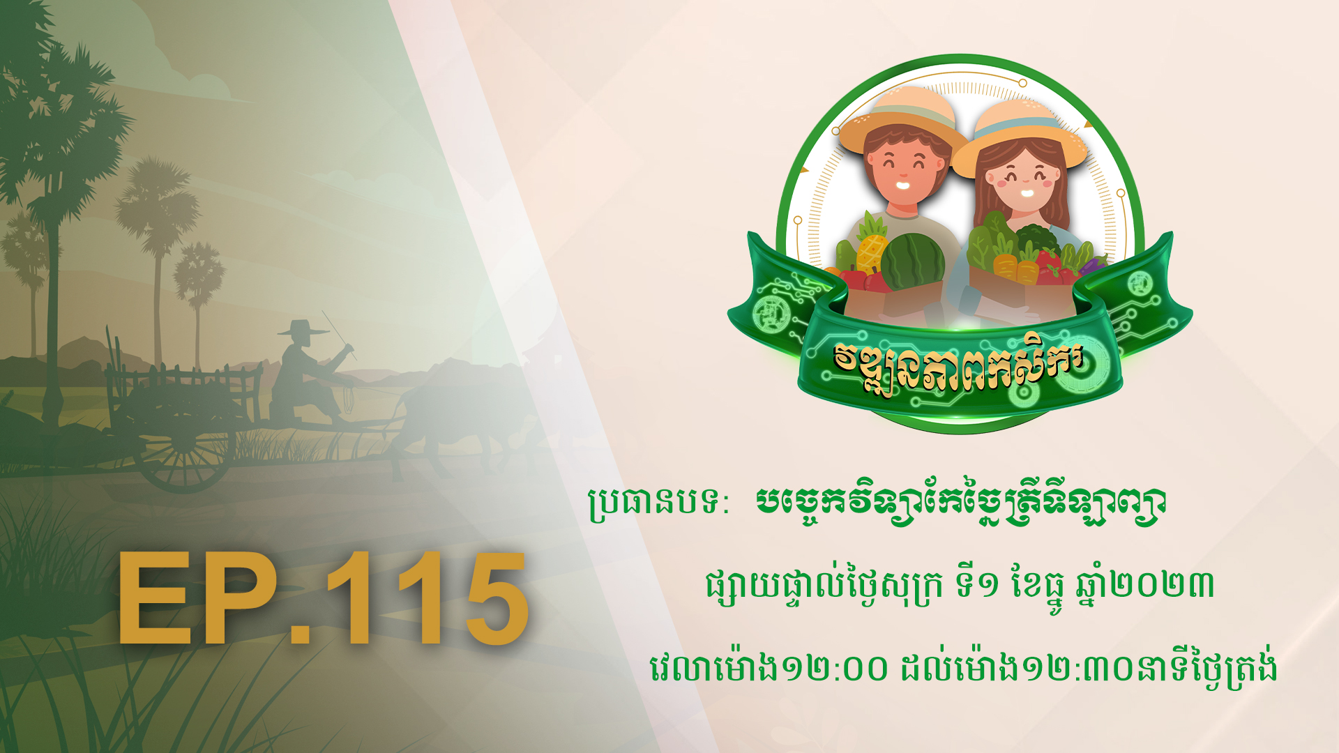 កម្មវិធី វឌ្ឍនភាពកសិករ EP.115