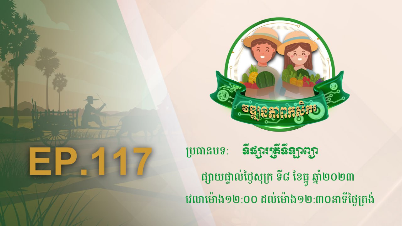 កម្មវិធី វឌ្ឍនភាពកសិករ EP.117