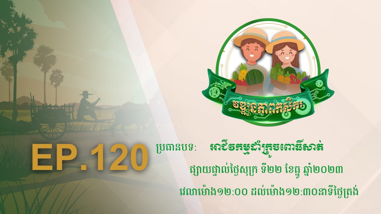 Wattanakpheap Kasekar EP.120