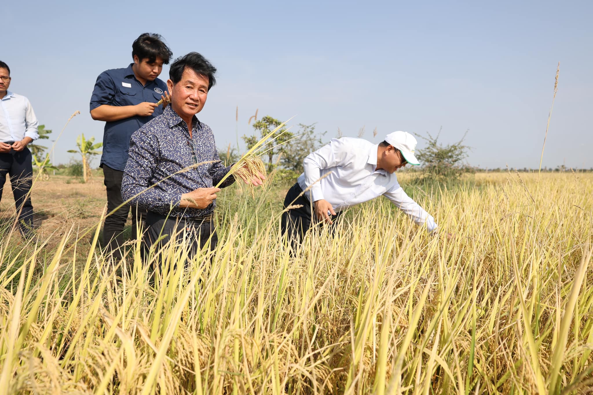 428675277_801530228683934_4455530742063998026_n