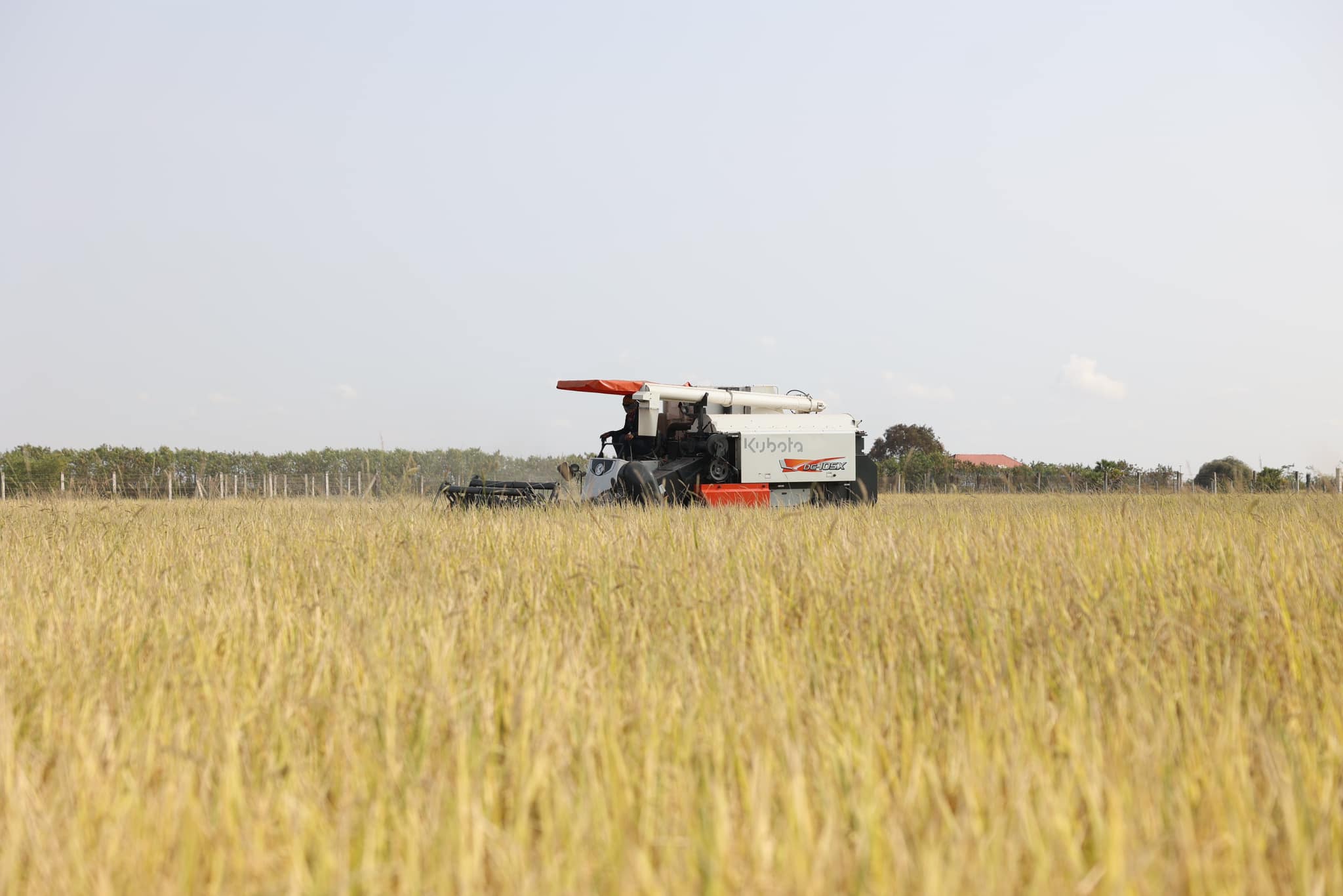 428687408_801530162017274_7899429968234085898_n