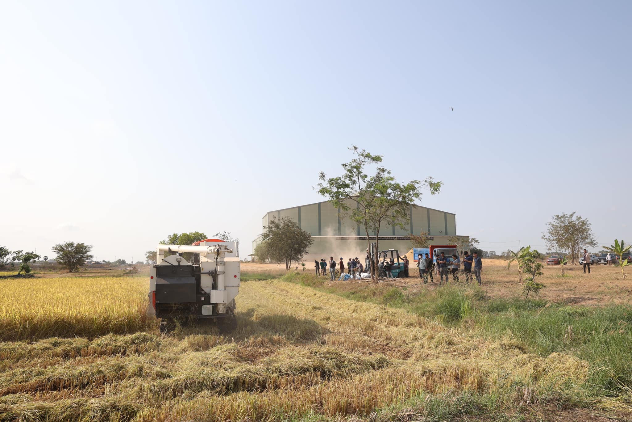 428699606_801530145350609_1123709296236045047_n