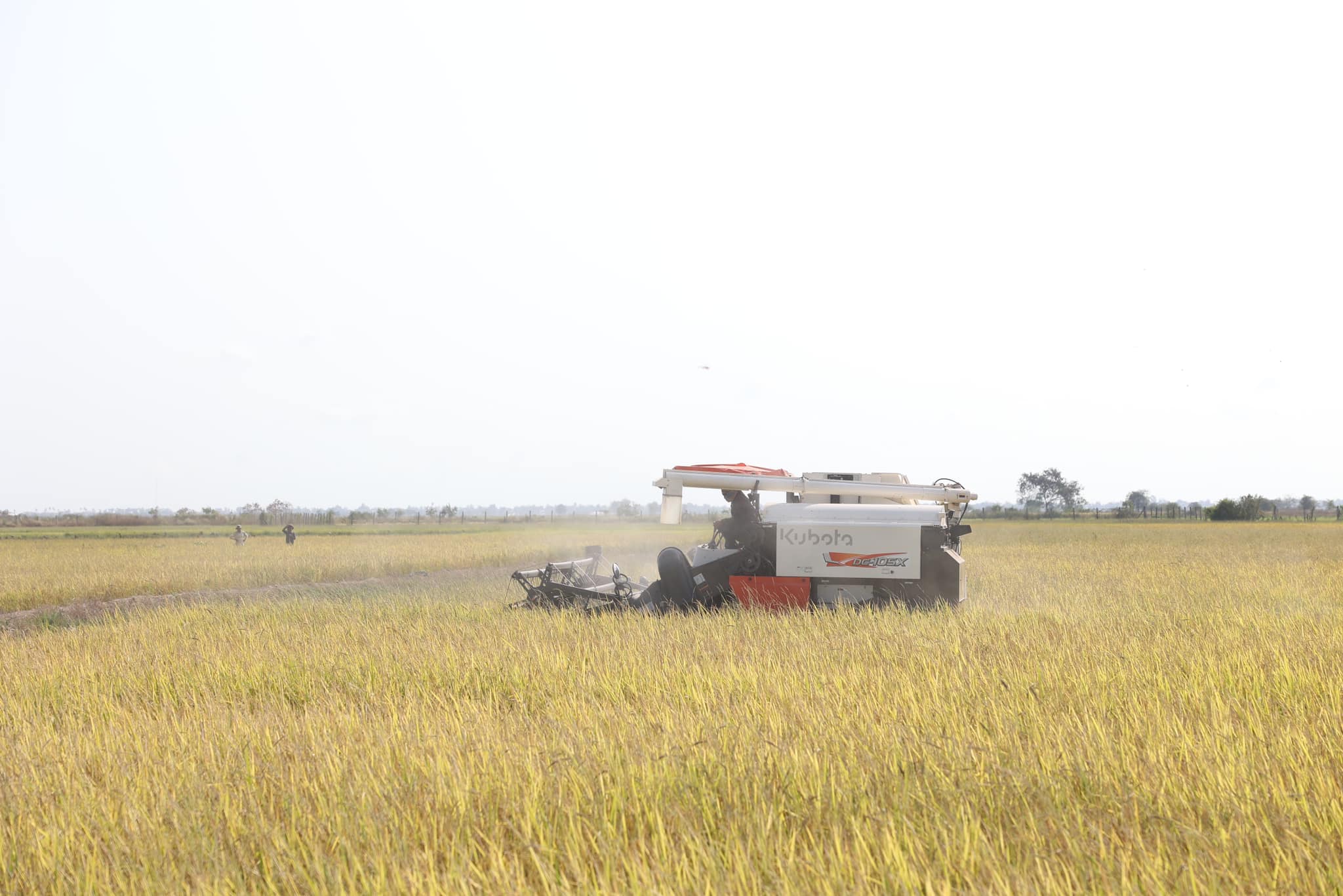 428701673_801530302017260_6011122842727881237_n