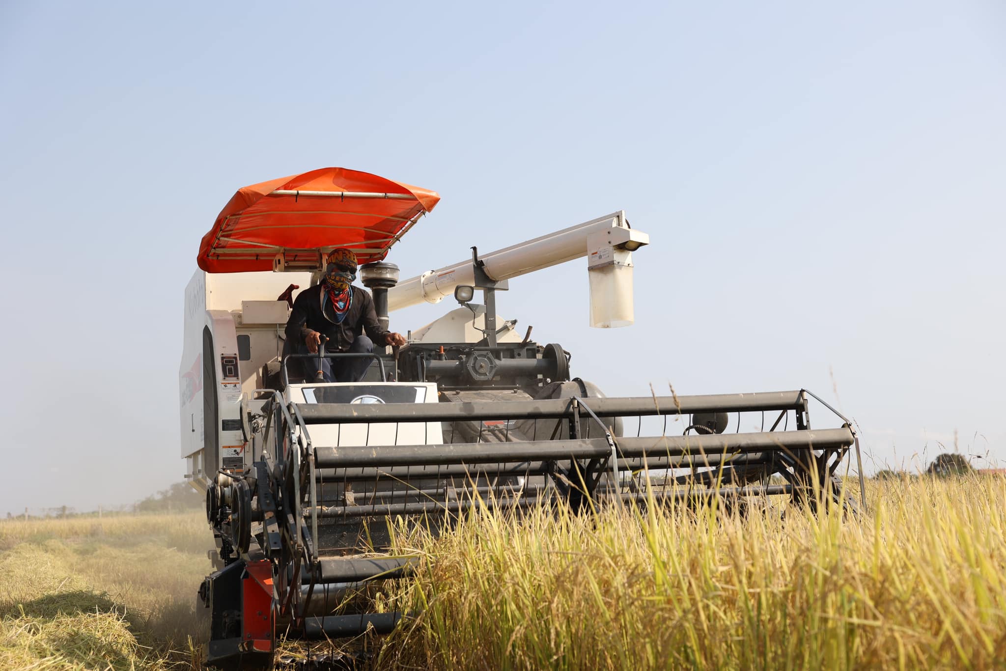 428701966_801530245350599_583606461506009974_n