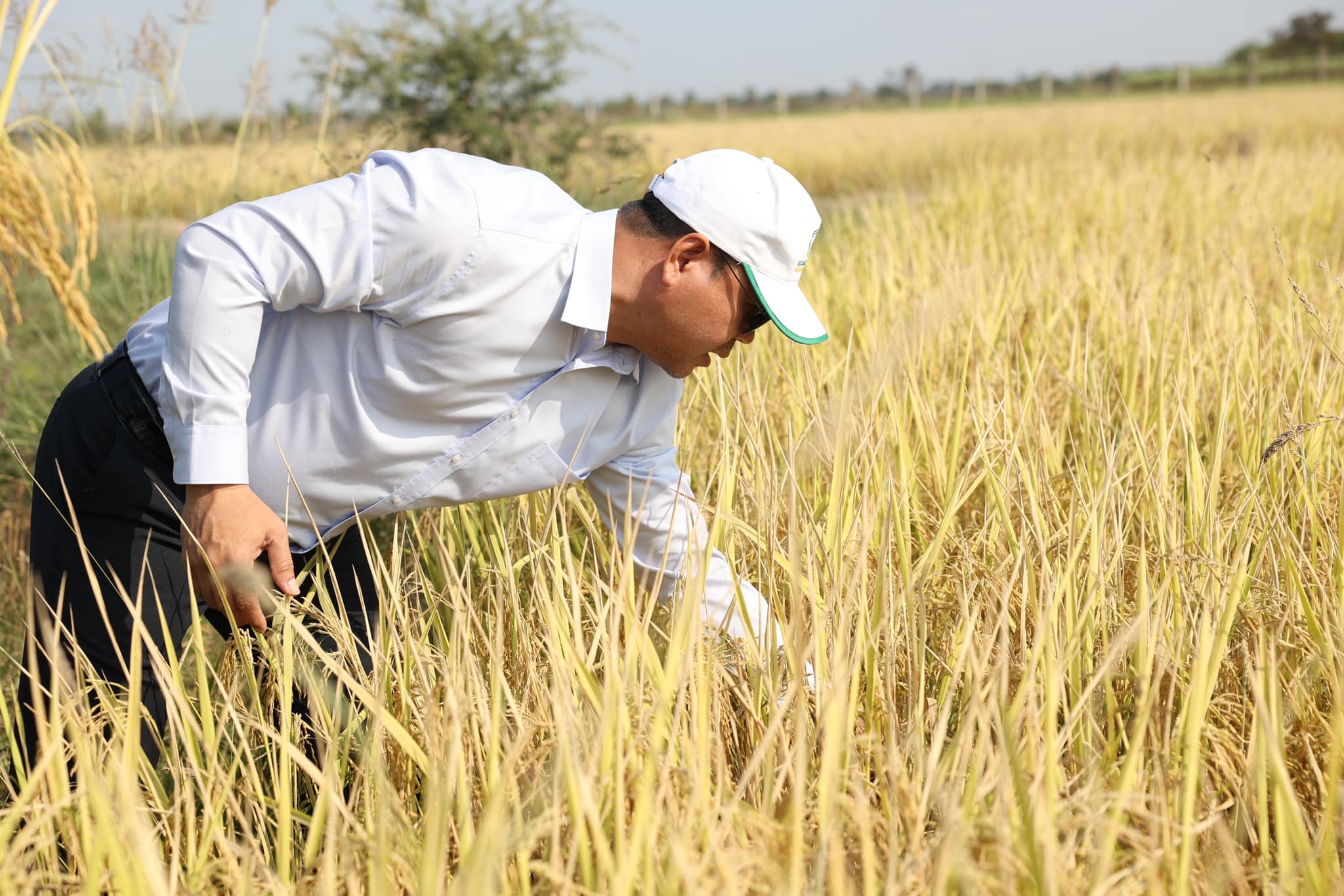 428707399_801530272017263_7625372493026198402_n