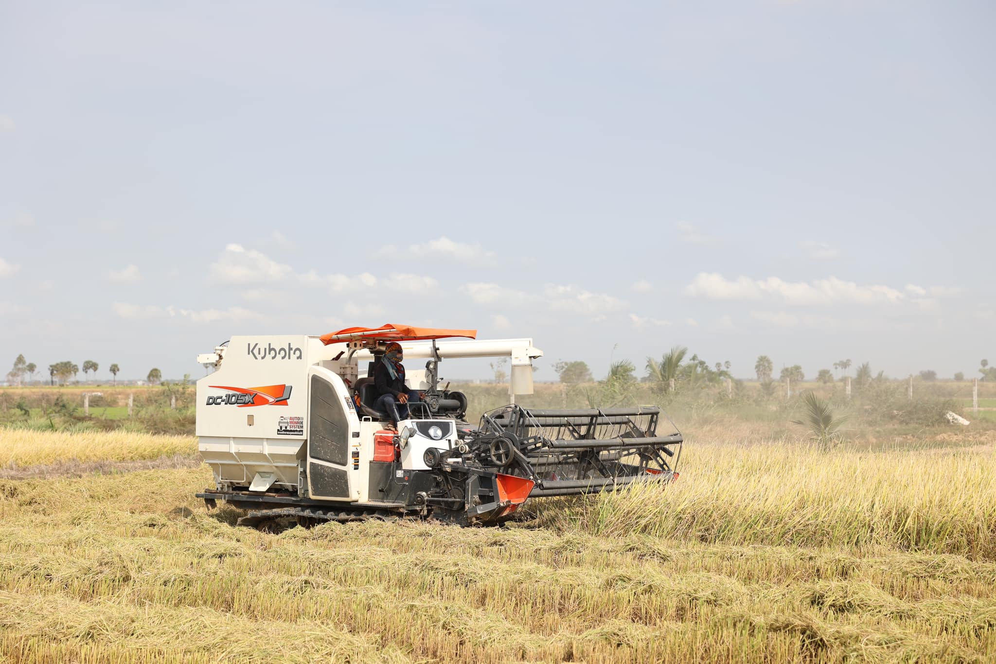 428711437_801530188683938_218920061324706658_n