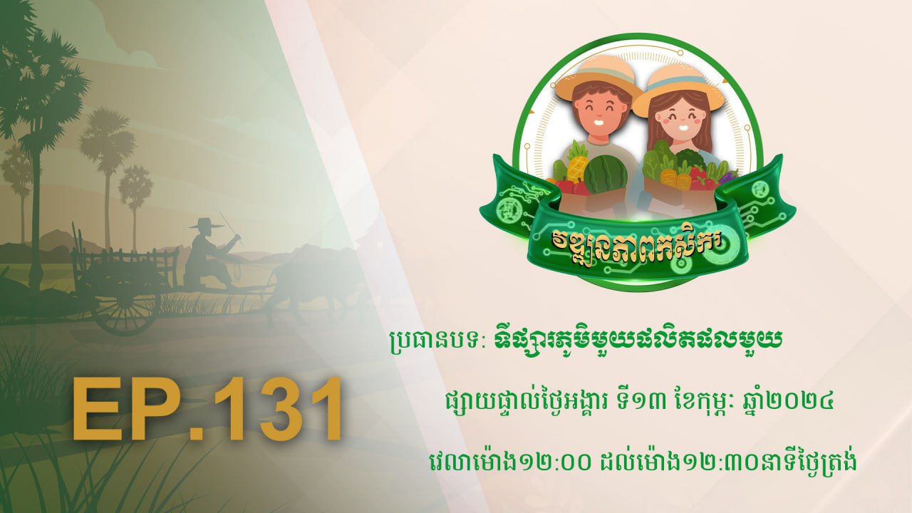 កម្មវិធី វឌ្ឍនភាពកសិករ EP.131