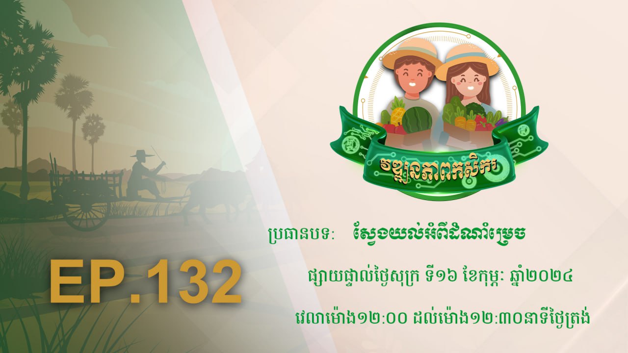 កម្មវិធី វឌ្ឍនភាពកសិករ EP.132