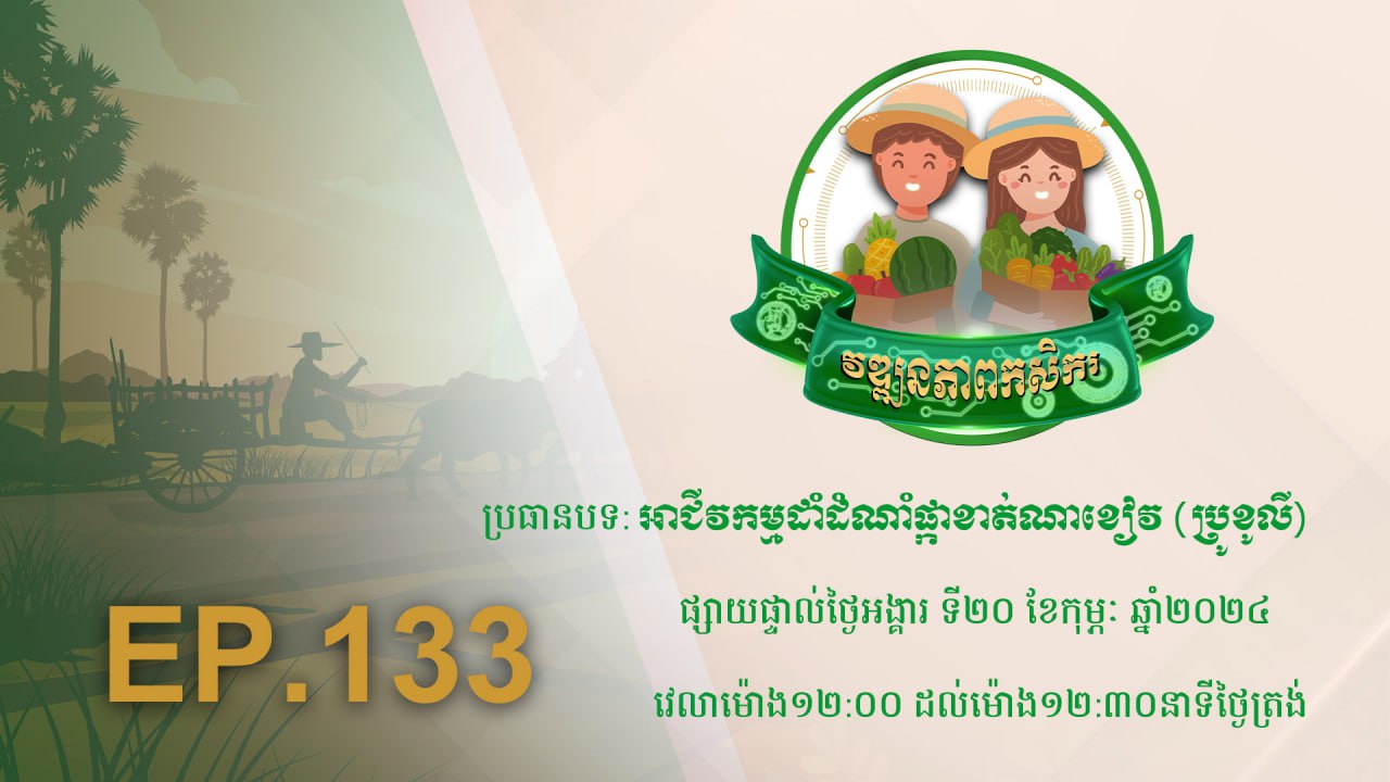 កម្មវិធី វឌ្ឍនភាពកសិករ EP.133