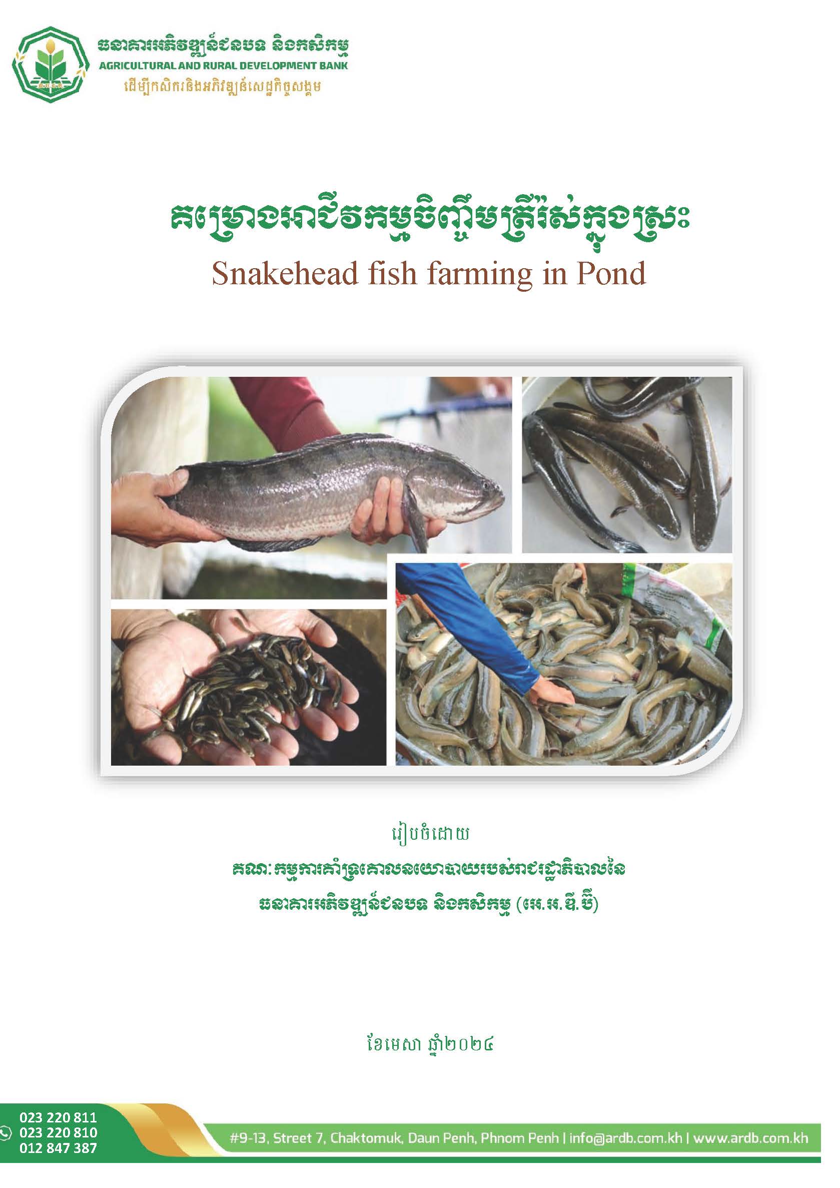 គម្រោងអាជីវកម្មចិញ្ចឹមត្រីរ៉ស់ក្នុងស្រះ_Page_02