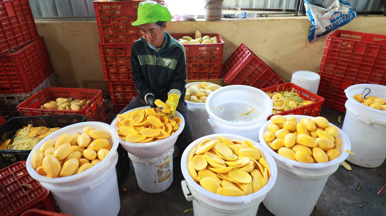 480605971_1078485504321737_3753716222898209230_n