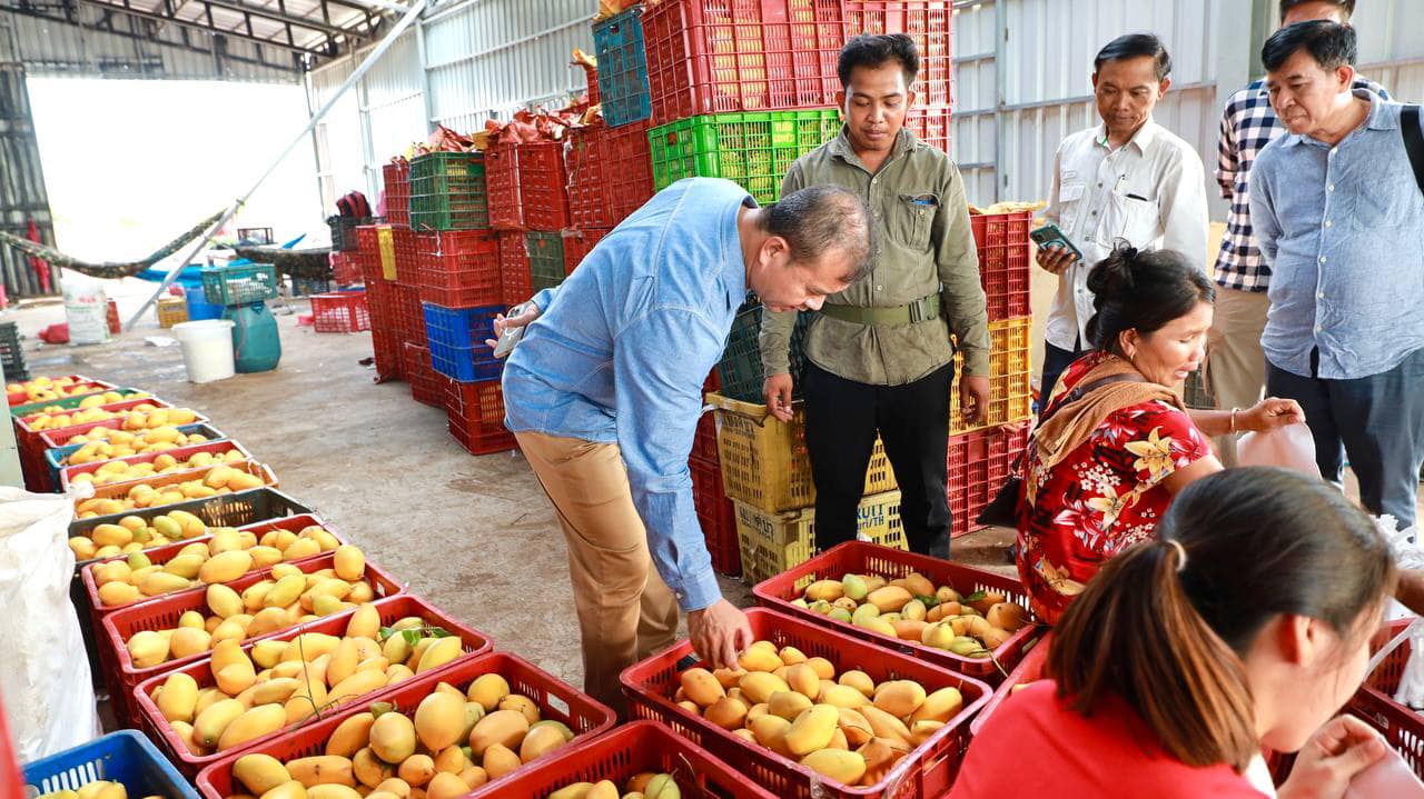 481257300_1078485420988412_486229588197926571_n