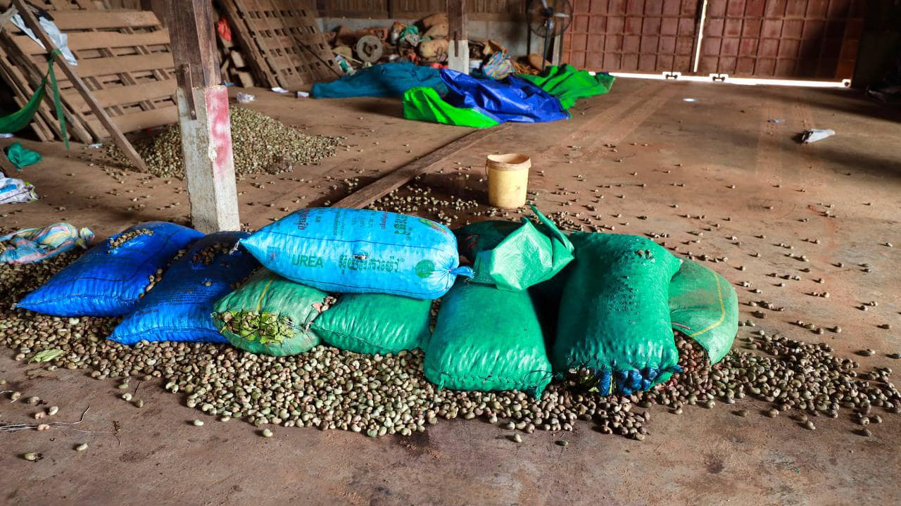 483369758_1078485337655087_4611024506453896064_n