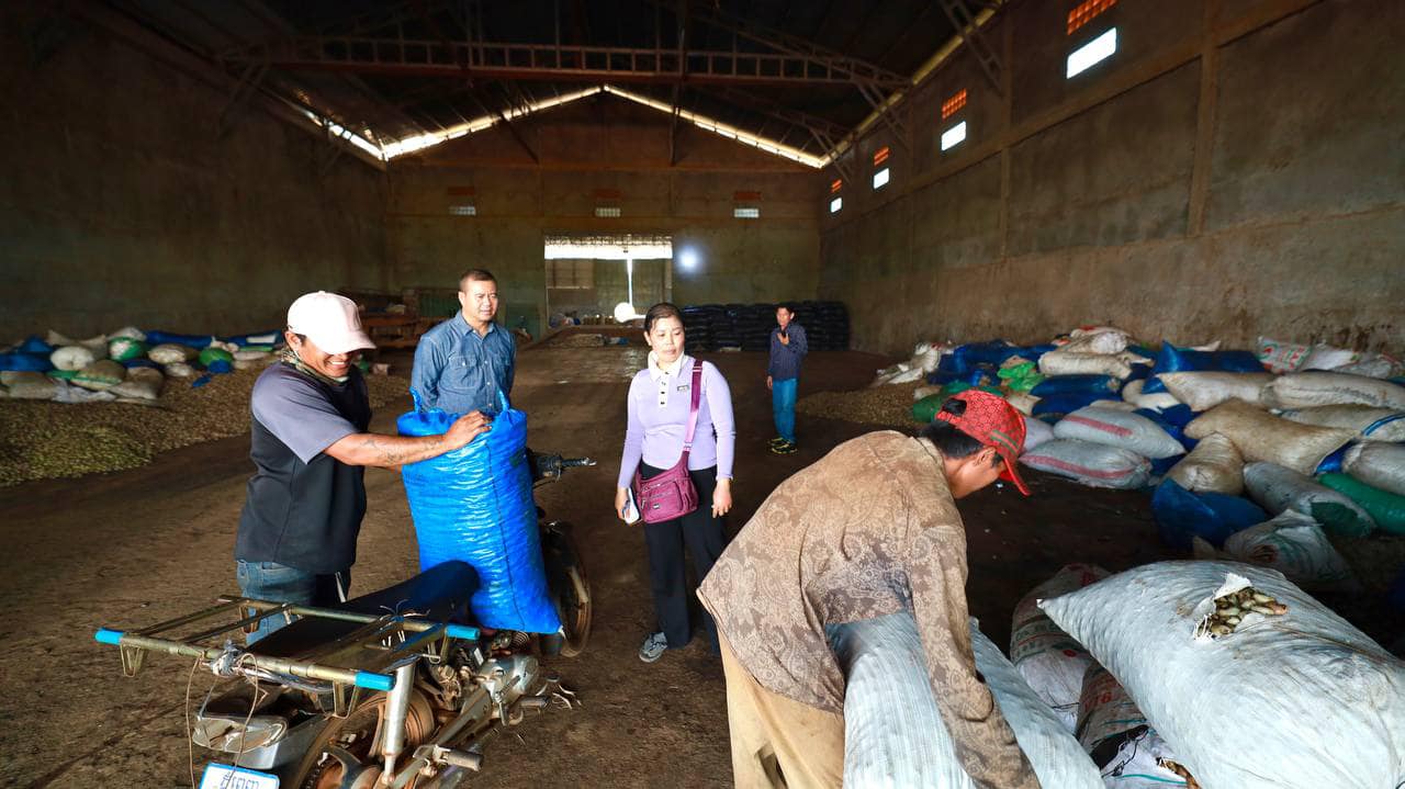 ឯកឧត្តមបណ្ឌិត កៅ ថាច និងសហការីបានអញ្ជើញពិនិត្យមើលតម្លៃគ្រប់ស្វាយចន្ទីរបស់កសិករនៅតាមសមាគមក្នុងខេត្តកំពង់ធំ និងខេត្តព្រះវិហារ