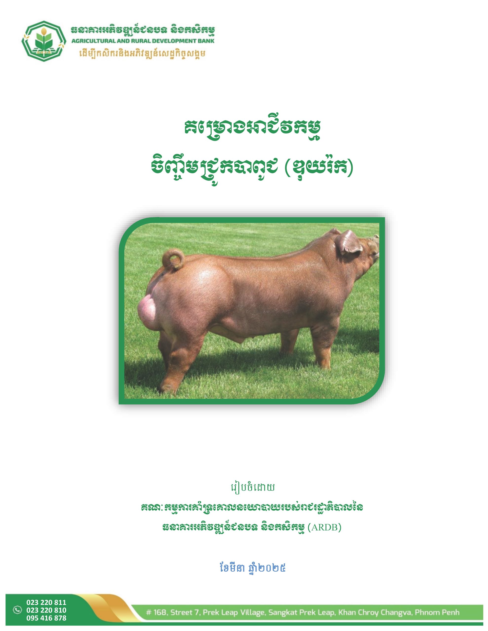 7_គម្រោងអាជីវកម្មចិញ្ចឹមជ្រូកបាពូជឌុយរ៉ក_Page_02
