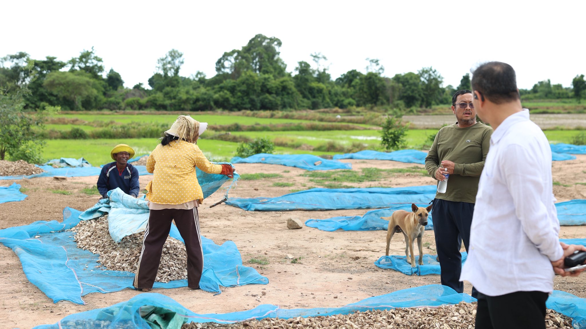 506413142_1155203283316625_2742642533797733178_n