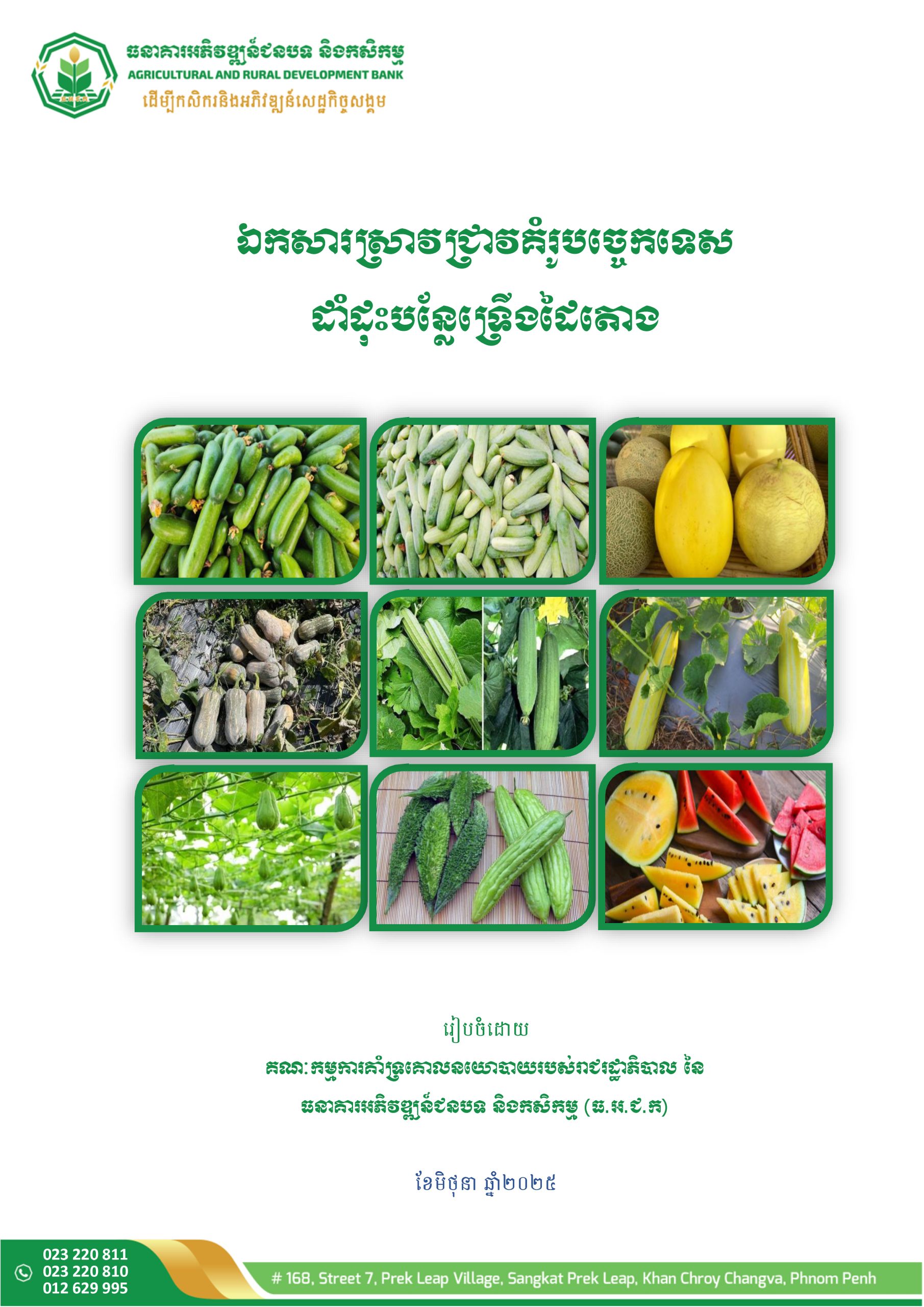 ឯកសារស្រាវជ្រាវគំរូបច្ចេកទេសដាំដុះបន្លែទ្រើងដៃតោង_Page_01