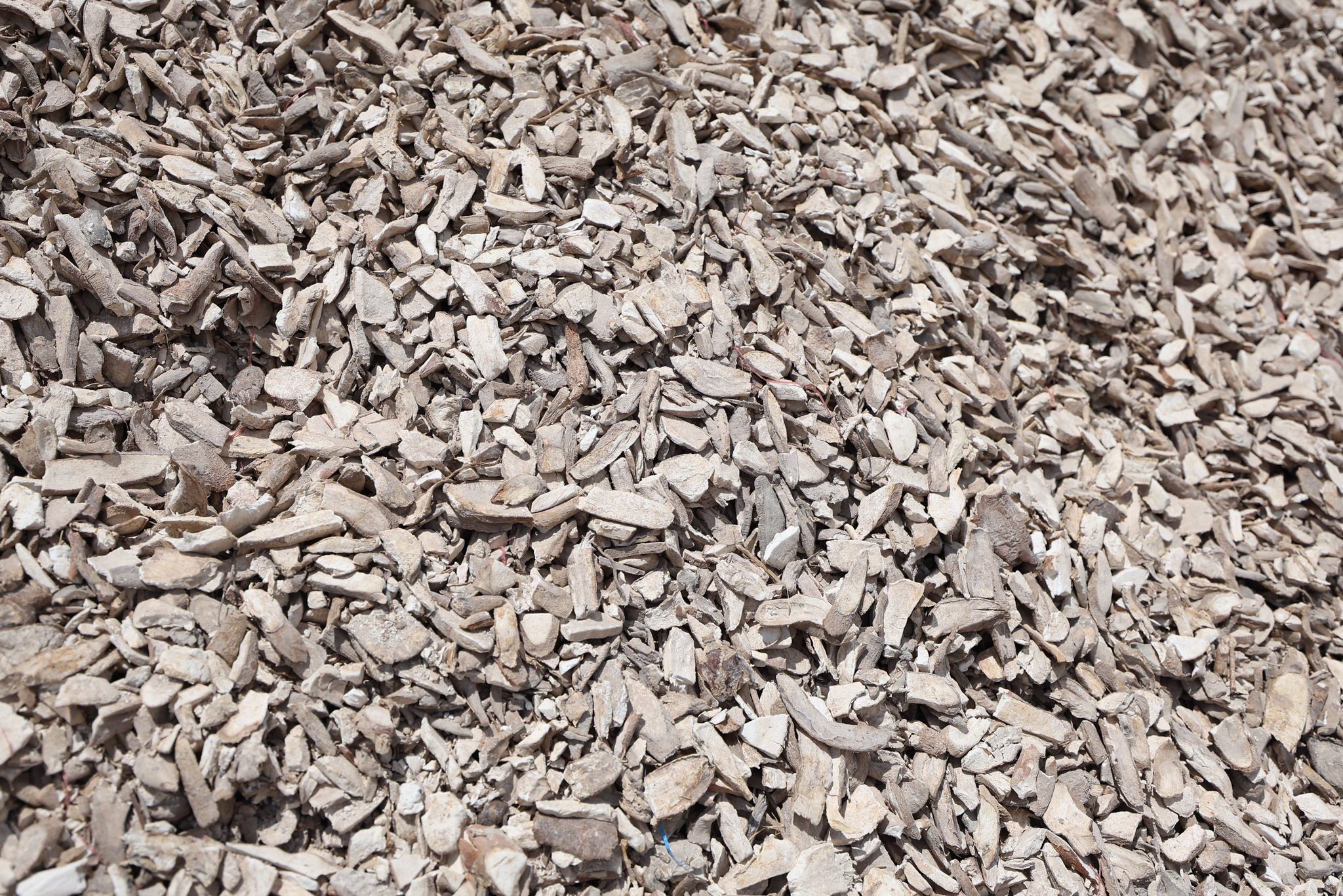 516346563_1177966711040282_4870266493998427029_n