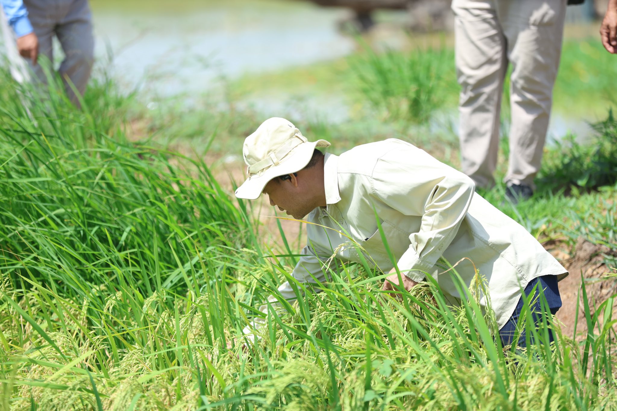 516373279_1177966777706942_1277307250526280479_n