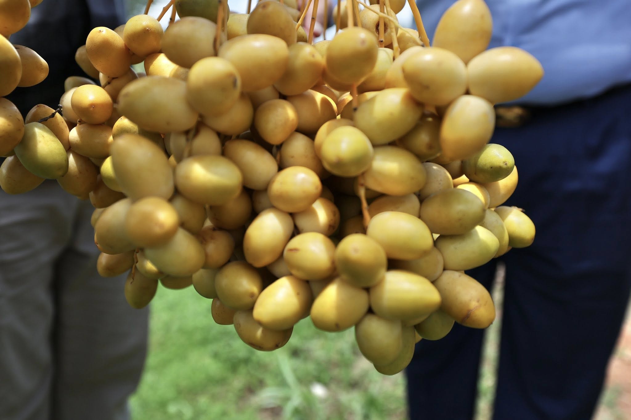 516782112_1177966954373591_2738847085703342892_n