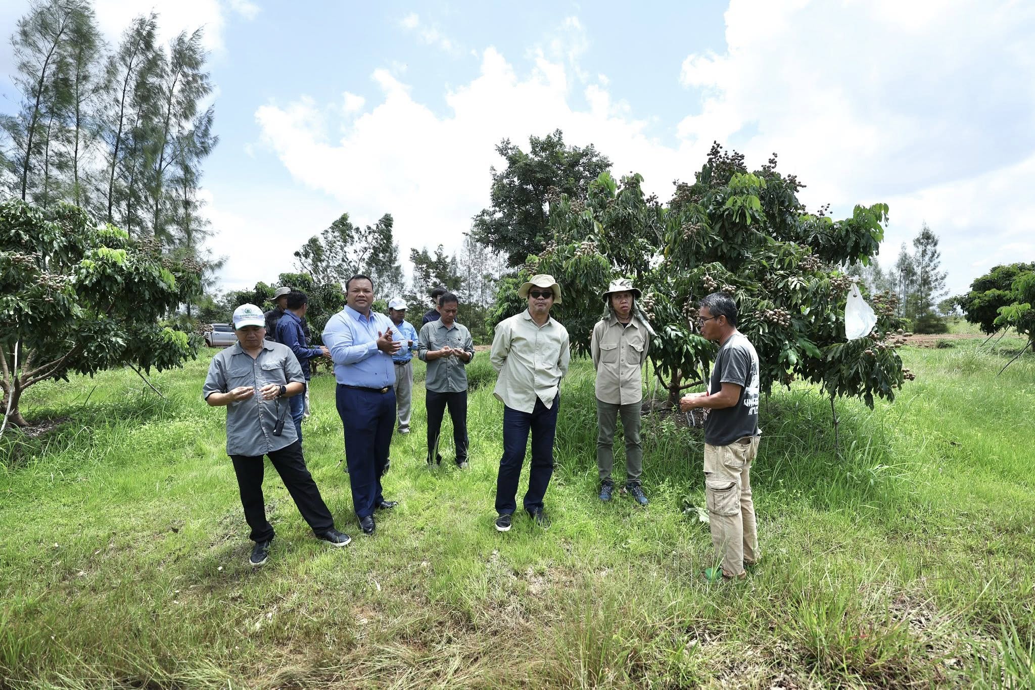 517127573_1177966141040339_4052003406380290173_n