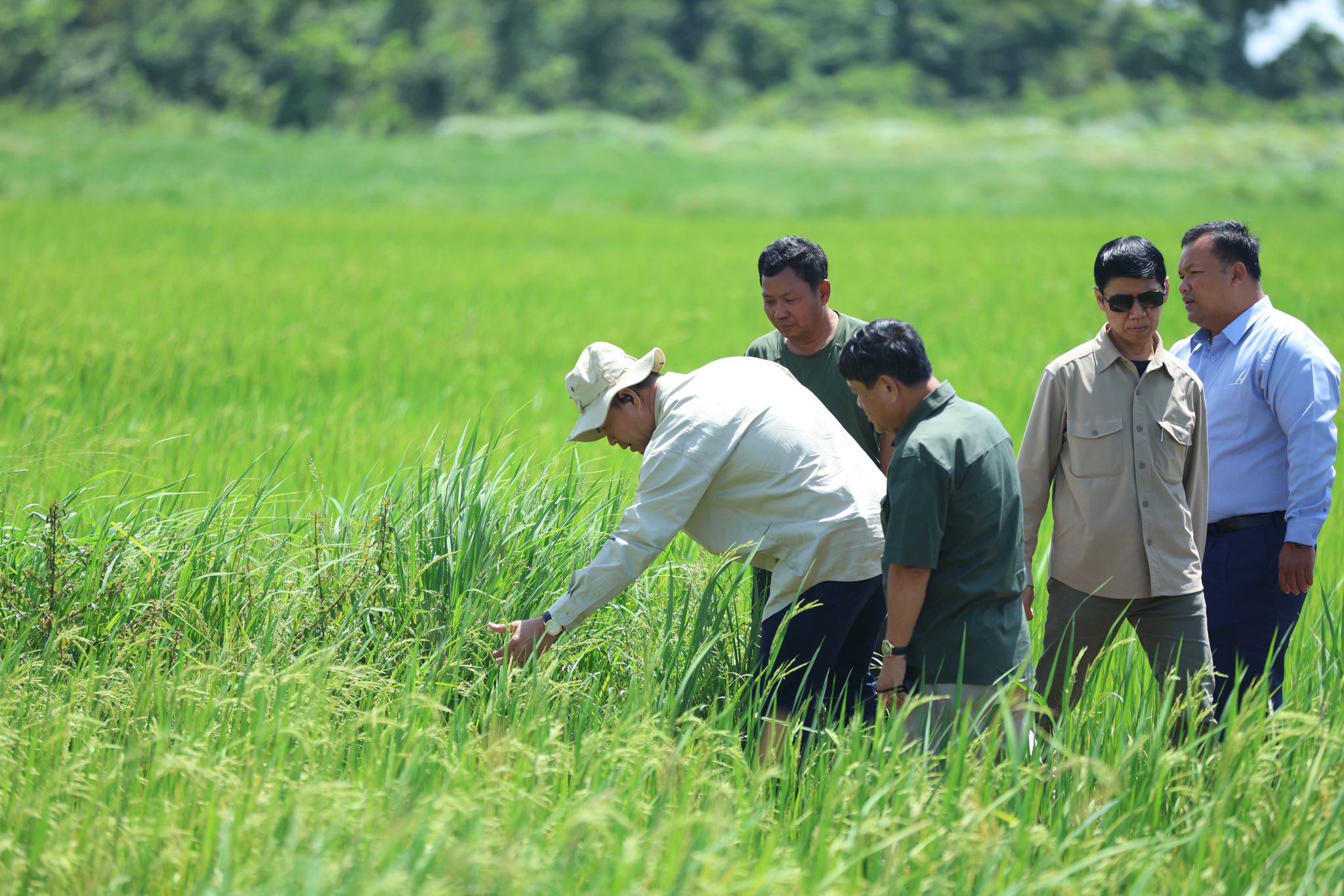 517486099_1177966691040284_1370062890955659104_n