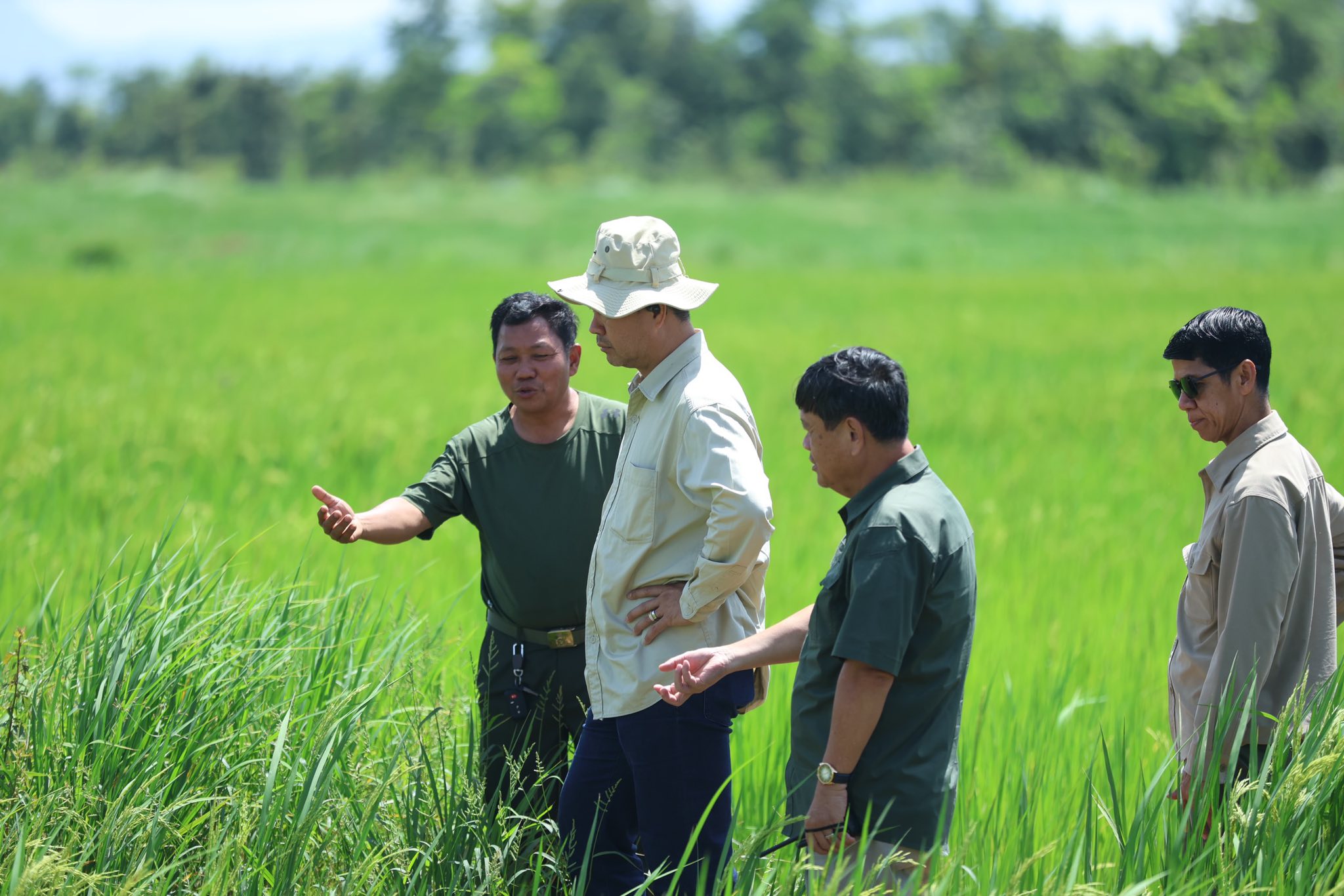 517889940_1177966837706936_132473261759496512_n