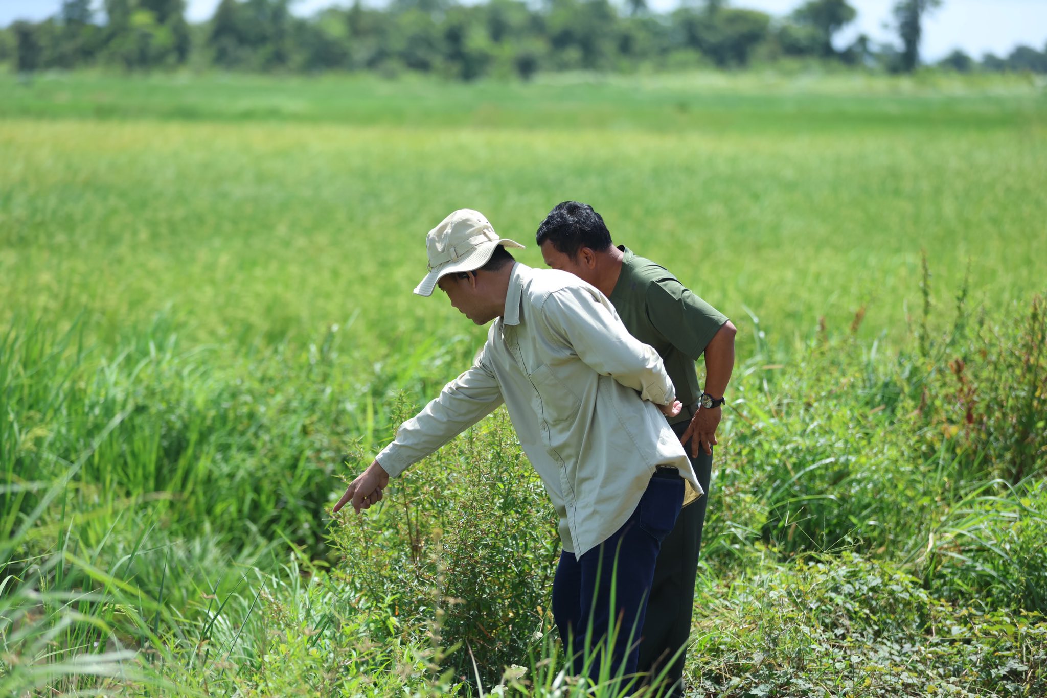 518096201_1177966934373593_6133279648414046232_n