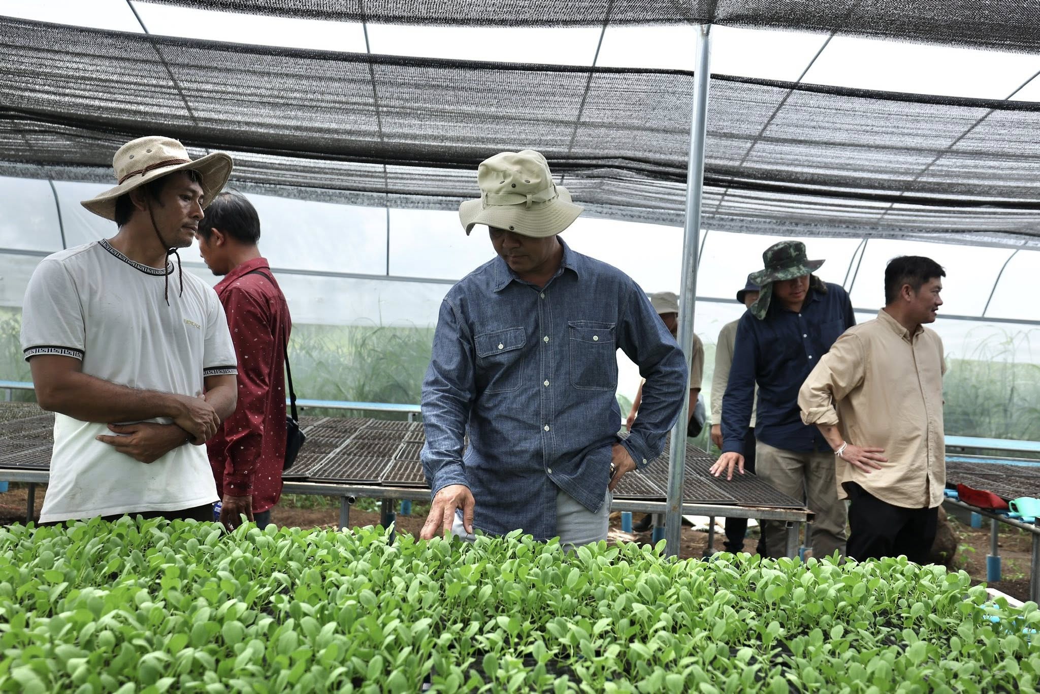 ឯកឧត្តមបណ្ឌិត កៅ ថាច និងសហការី អញ្ជើញចុះសាកសួរសុខទុក្ខកសិករដាំដុះបន្លែផ្ទះសំណាញ់ ១៣គ្រួសារ ស្ថិតក្នុងគម្រោងកាត់បន្ថយភាពក្រីក្រ របស់ធនាគារ ARDB