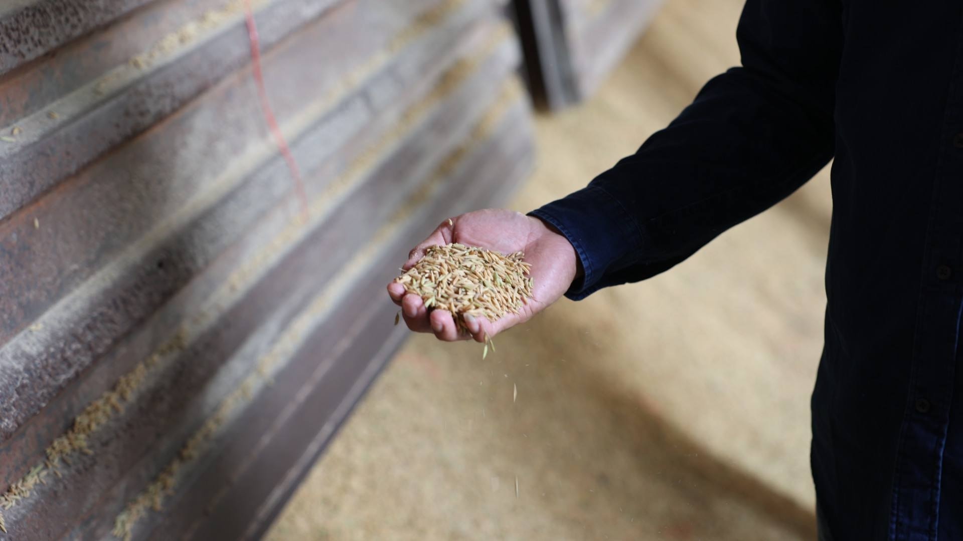 537895073_1213171497519803_617162093938513193_n