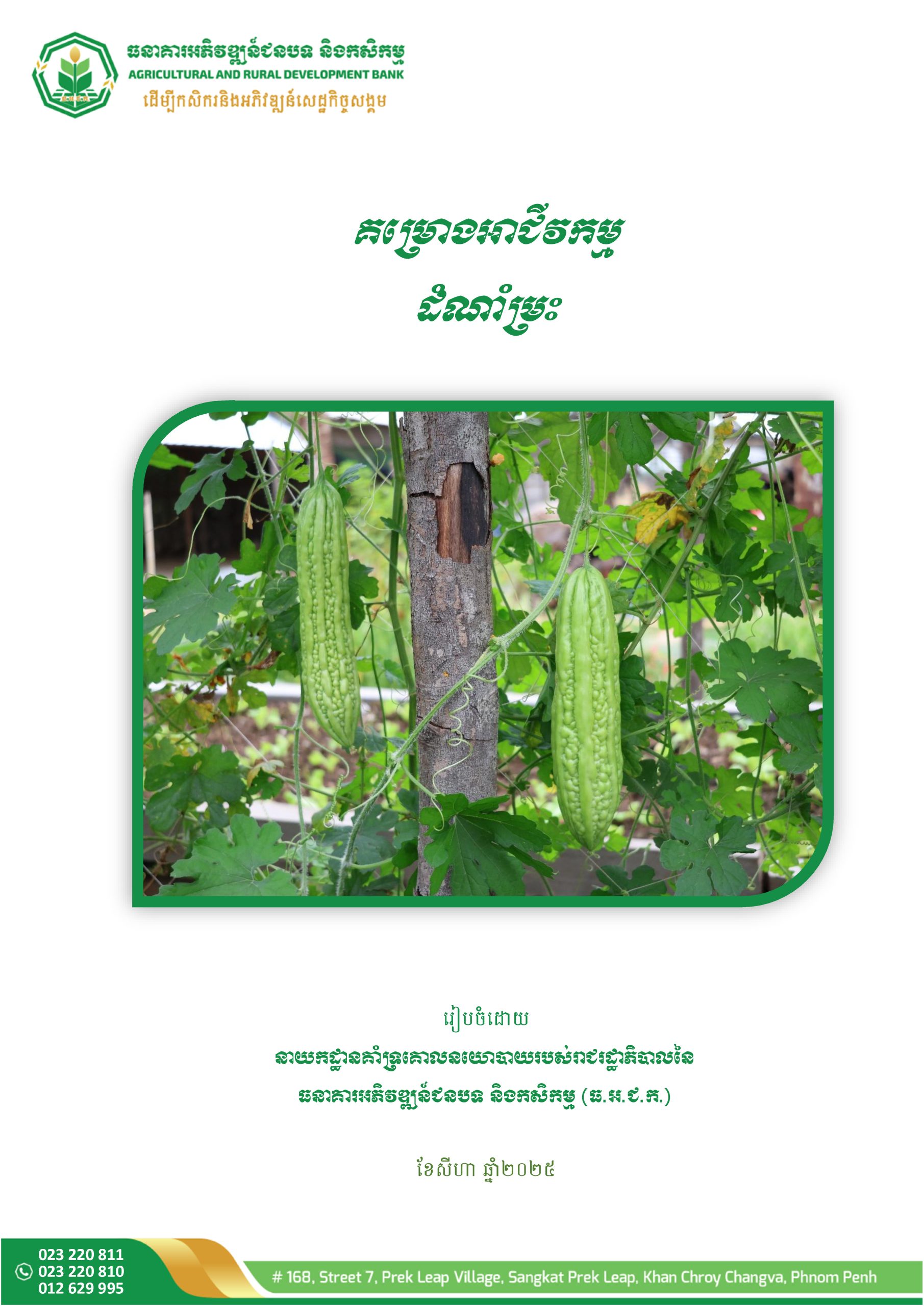 គម្រោងអាជីវកម្មដំណាំម្រះ_Page_1