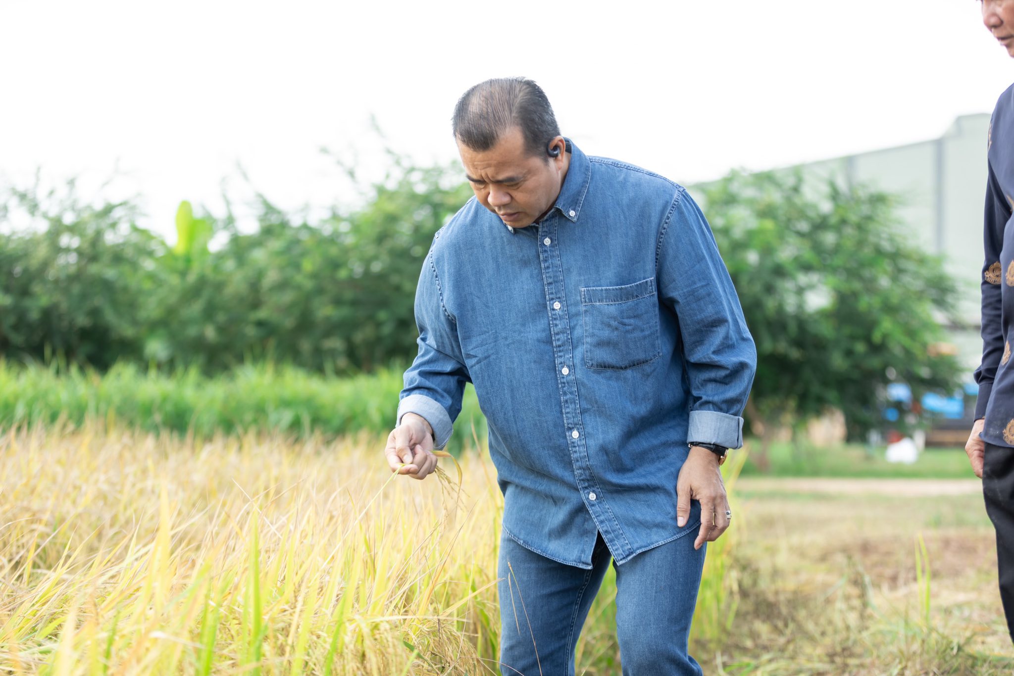 555061655_1256139053223047_4062243764533129655_n